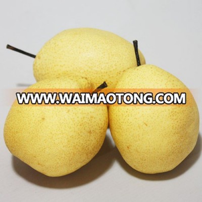 fresh pear fruit ya pear for sale