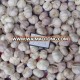 hot sale garlic 2016 new crop garlic